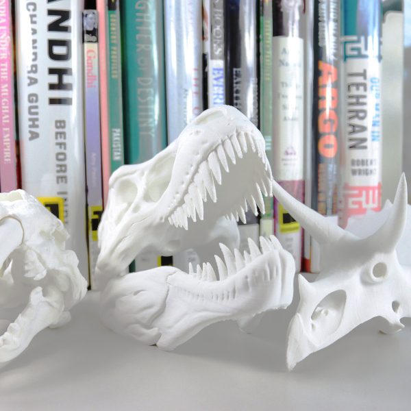 3d printed fossils