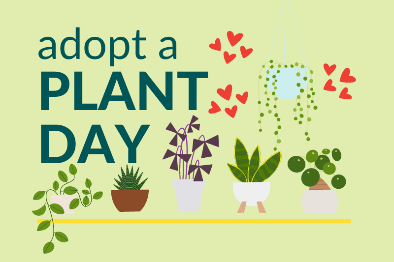 Adopt a Plant Day