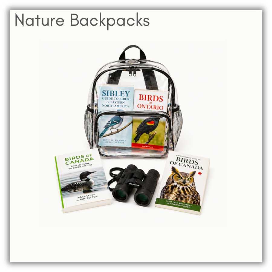 Nature Backpacks. Themed. Holdable. Can borrow for two weeks. Can be delivered to any LPPL location. AI generated image.