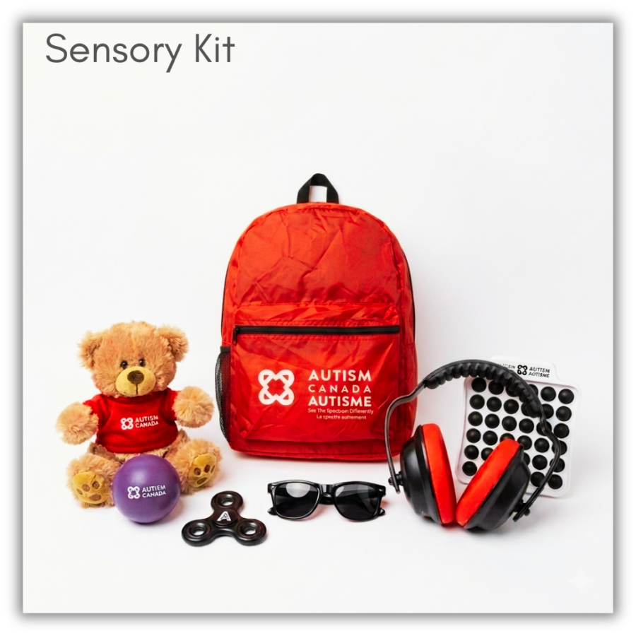 Sensory Kits. Holdable. Borrows for two weeks. Can be delivered to any LPPL location.